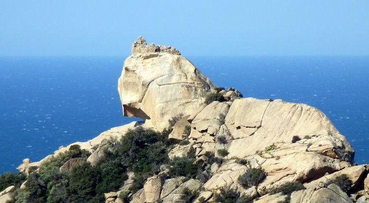 فيلا Kalliste Sartène المظهر الخارجي الصورة